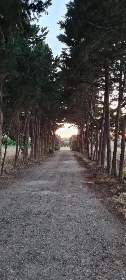 La Casa del Gelso Tonnara di Bonagia Exterior foto