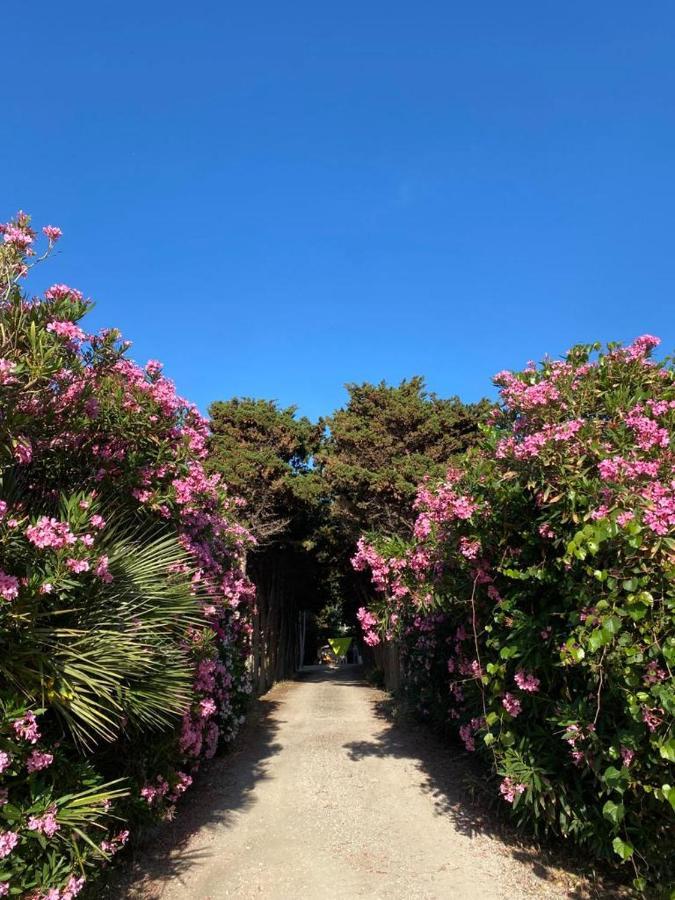 La Casa del Gelso Tonnara di Bonagia Exterior foto